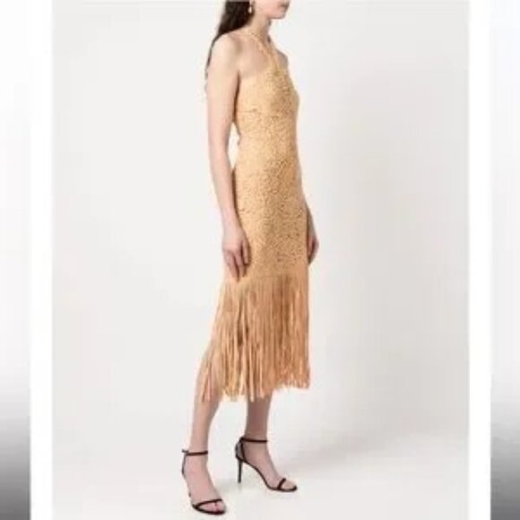 Jonathan Simkhai Dresses & Skirts - SIMKHAI Alisa Alisa Embroidered amp Fringe Trim Dress in Rattan SZ 2